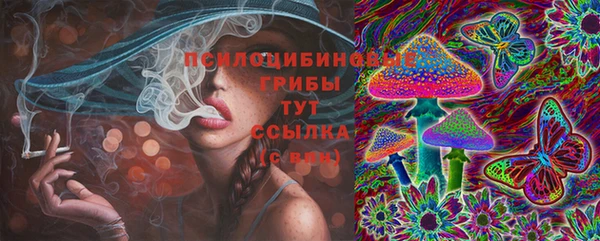 PSILOCYBIN Балахна