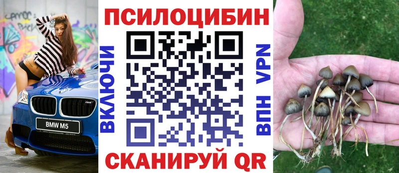 наркота  Красный Холм  Галлюциногенные грибы прущие грибы 